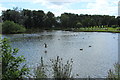 Kay Park Pond, Kilmarnock in KA3 1DZ