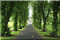Avenue at Kay Park, Kilmarnock in KA3 1DZ
