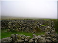 Sheepfold in Waberthwaite