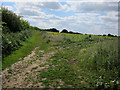 Footpath from Vicarage Road in NR13 6HD