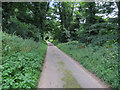 Track off Salhouse Road in NR13 6HB