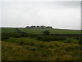 High Corney in Waberthwaite