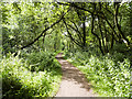 Path in Kingmoor South Nature Reserve in CA3 0ER