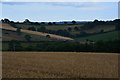 Mid Devon : Countryside Scenery in EX17 1AU