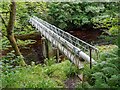 Footbridge over the River Averon or River Alness in IV17 0XD
