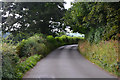 Mid Devon : Country Lane in EX17 1FB