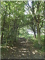 Meadow Walk, Daventry Country Park in NN11 0XH