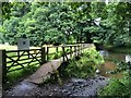 Footbridge and ford on the River Wey (South Branch) in GU10 3DL