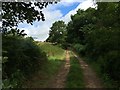 Track near Sheephatch Farm in GU10 2AE