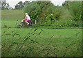 Clifton Ings cycle path, York in YO30 6WQ