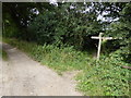 Footpath crosses West Sussex Literary Trail in RH14 9DN