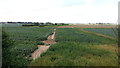 Low-lying farmland north of Surfleet Bank in PE11 4DH