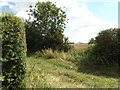 Nan Hazle's Lane footpath in IP22 1LQ