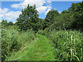 Path round Strumpshaw Fen in NR13 5PA