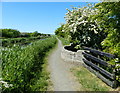 Philpstoun Aqueduct along the Union Canal in EH49 6RB