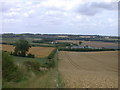Public Bridleway looking down towards Hatchpen in Ermine Ward
