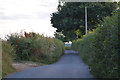 Mid Devon : Country Lane in EX17 1AN