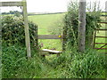 Stile on the Eddisbury Way in WA6 6TS