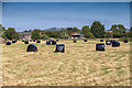 Silage bales in the field in WR11 7QA