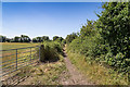 Bridleway to Wickhamford in WR11 7RX