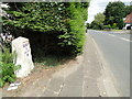 Milestone at Scarning in NR19 2PD