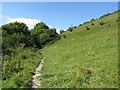 Footpath at foot of Black Hill, near Cerne Abbas in DT2 7GW