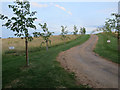 Private track from Winter Wells in Arrington
