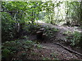 Footpath Bridge Over Dried Out Stream in KT22 0PS