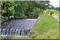Weir on the River Clywedog, Erddig in LL13 7EQ
