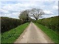 The lane to Stanton Harcourt in OX29 5RH