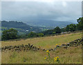 Dry stone wall next to Banks Lane in BD20 5DL