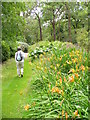 Streamside Path, Isabella Plantation in TW10 5HP