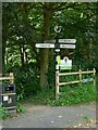 Fingerpost at Nancy's Wood in Gawsworth