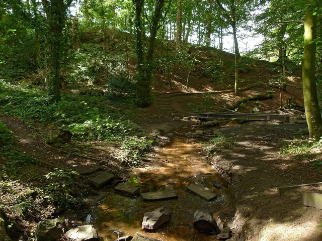 Nancy's Wood, Gawsworth in Gawsworth