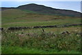 Fala Knowe and Carnethy Hill from Lawhead Farm, Penicuik in EH26 9LF