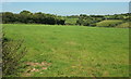 Farmland east of Witheridge in EX16 8AN