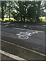 Bicycle marking on Nottingham Road in NG10 2EG