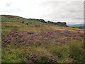On Ilkley Moor baht 'at in LS29 8BH