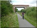 Cyclist on the Trans Pennine Trail in YO19 6LR