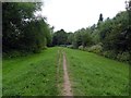 Footpath on a flood bank in YO24 1LF