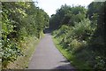 Former railway line to Billingham in Norton Central Ward