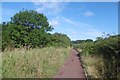 Railway trackbed, Black Roads in Norton South Ward