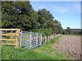 A field boundary at edge of Muir of Dess in AB31 4QX