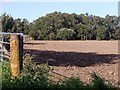 Gated access to a ploughed field in AB31 4QX