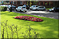 Flower Bed, Kilmarnock in KA1 3JE