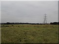 Pylons near Park Farm in KT19 8GR