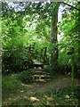 Footbridge over Unnamed Stream in RH13 9AY