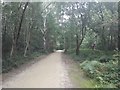 Footpath on edge of Epsom Common in KT18 7TR