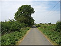 The lane to Whelford in GL7 3GB