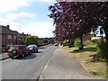 Mannock Drive, Debden in IG10 2DE